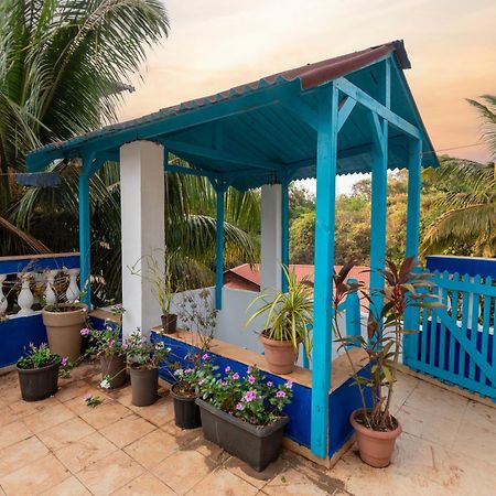 Hotel Feliz Arambol Exteriér fotografie